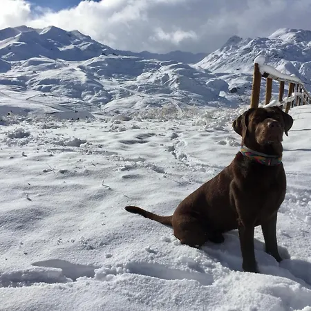 Apartment Tensina ❅ Acogedor Salon Y Gran Terraza Privada ❀ Sallent de Gállego