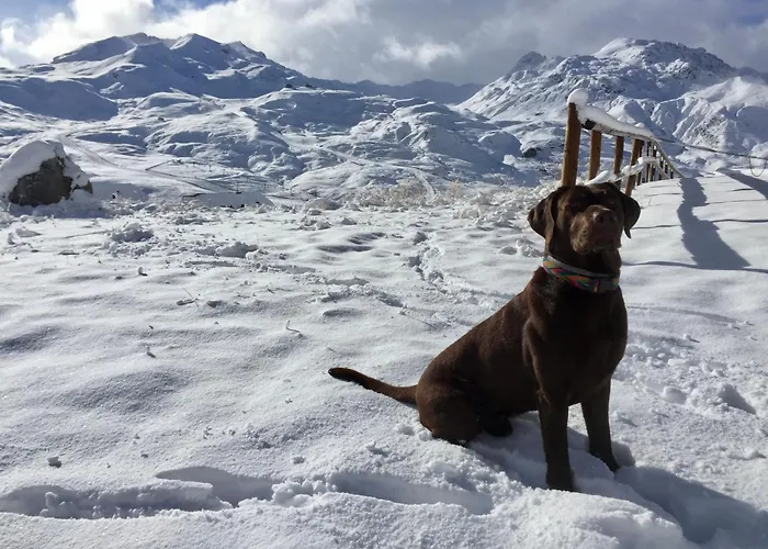 Lägenhet Tensina ❅ Acogedor Salon Y Gran Terraza Privada ❀ Sallent de Gállego